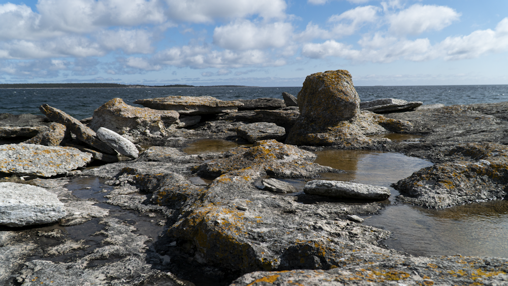 a rocky beach with a body of water in the background