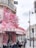 A charming café on a Parisian street, adorned with vibrant pink and red flowers cascading over its awning. The outdoor seating area is occupied by people enjoying the atmosphere. The building features ornate wrought-iron balconies, and a hotel sign is visible above.