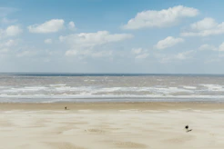 a couple of people walking across a sandy beach
