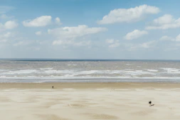 a couple of people walking across a sandy beach