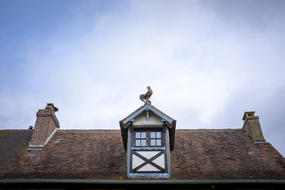um pássaro está empoleirado no topo de um edifício