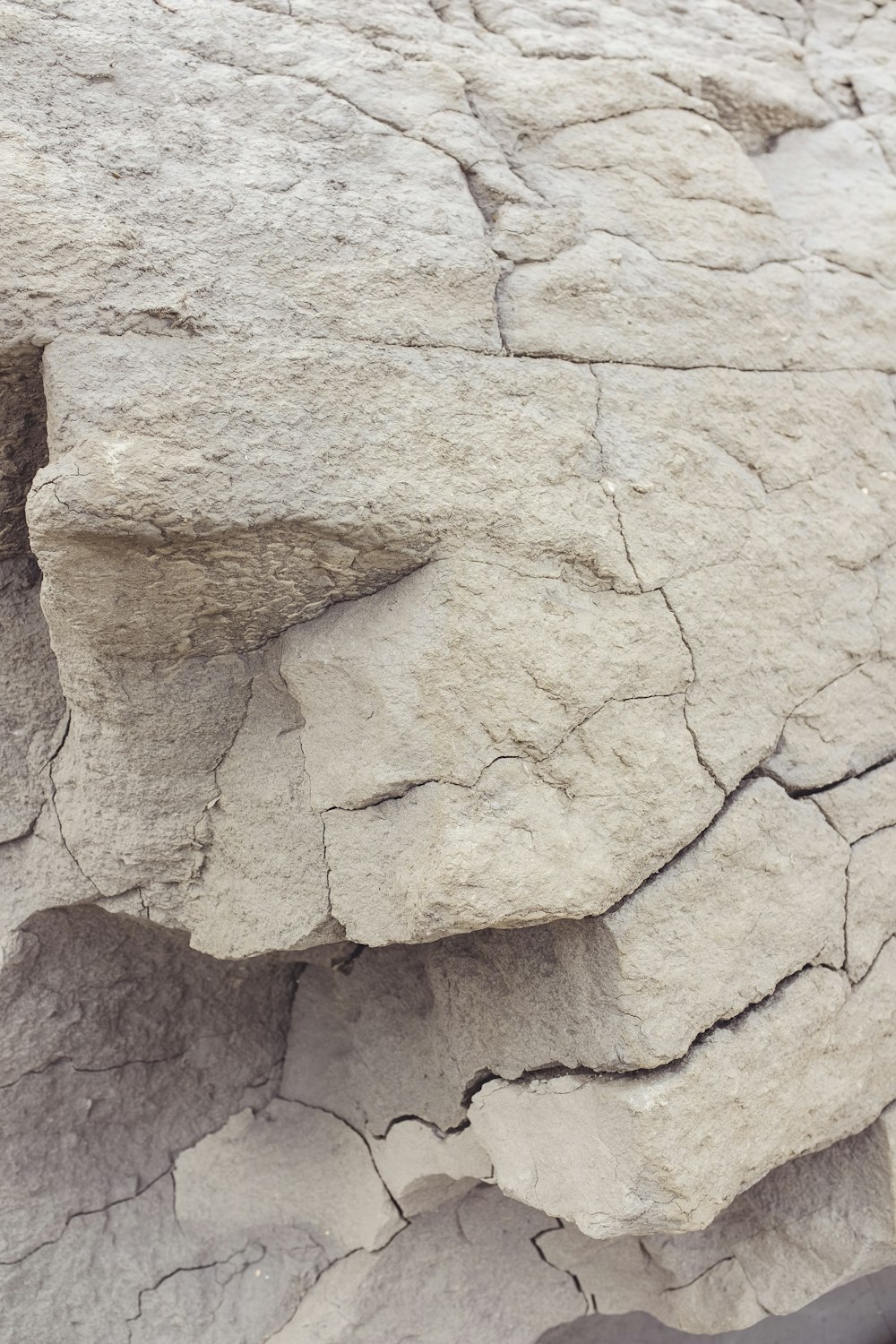 a bird is perched on a rock formation