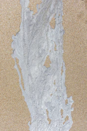 a bird is standing in the sand on the beach