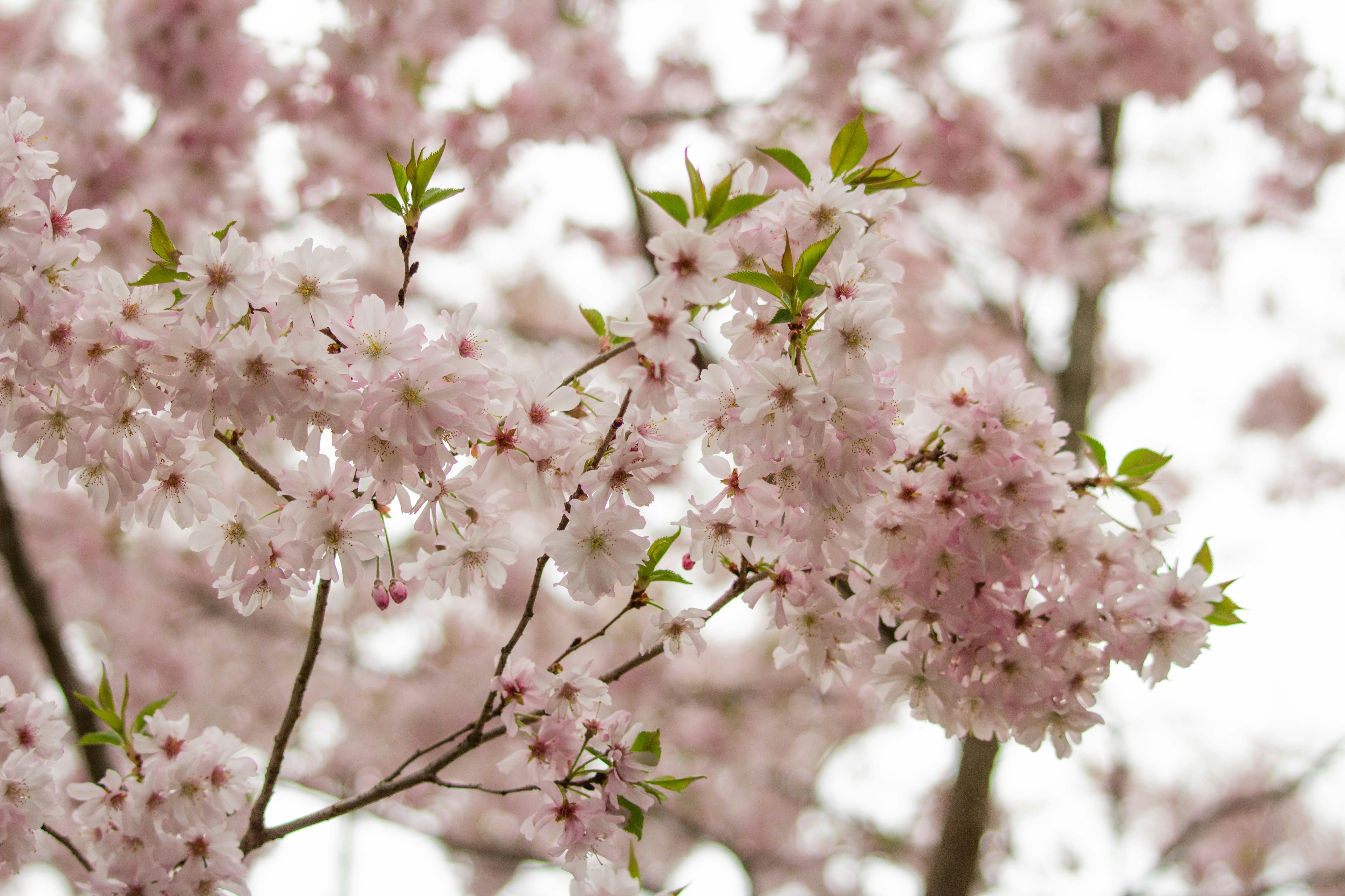 Photo by jennys_eye0