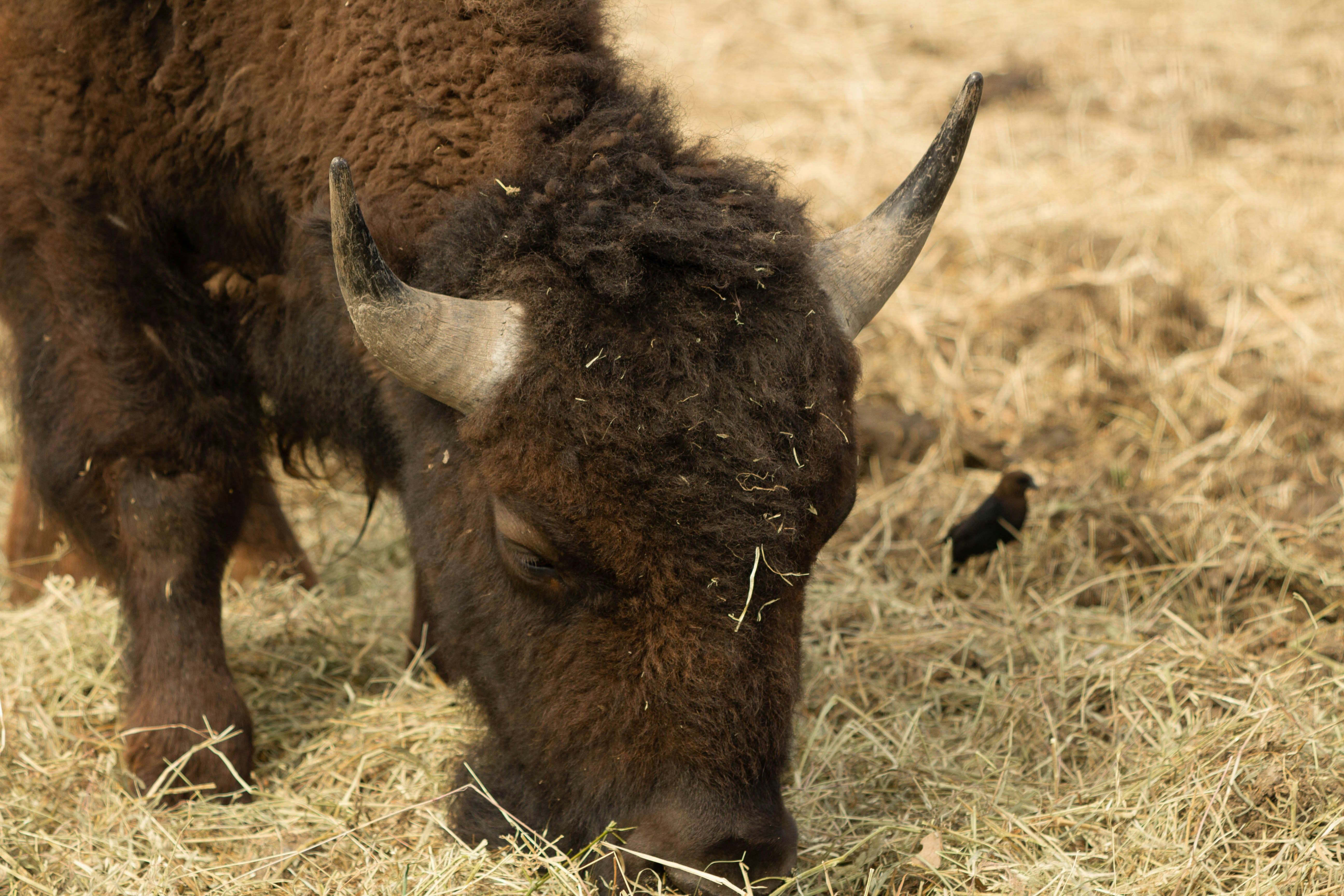 Photo by jennys_eye0