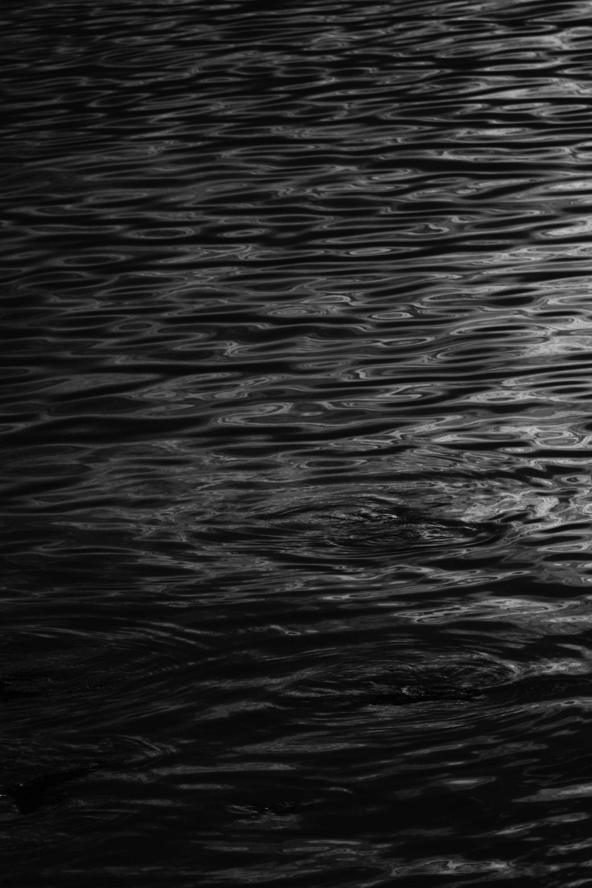 a man standing in the water holding a surfboard