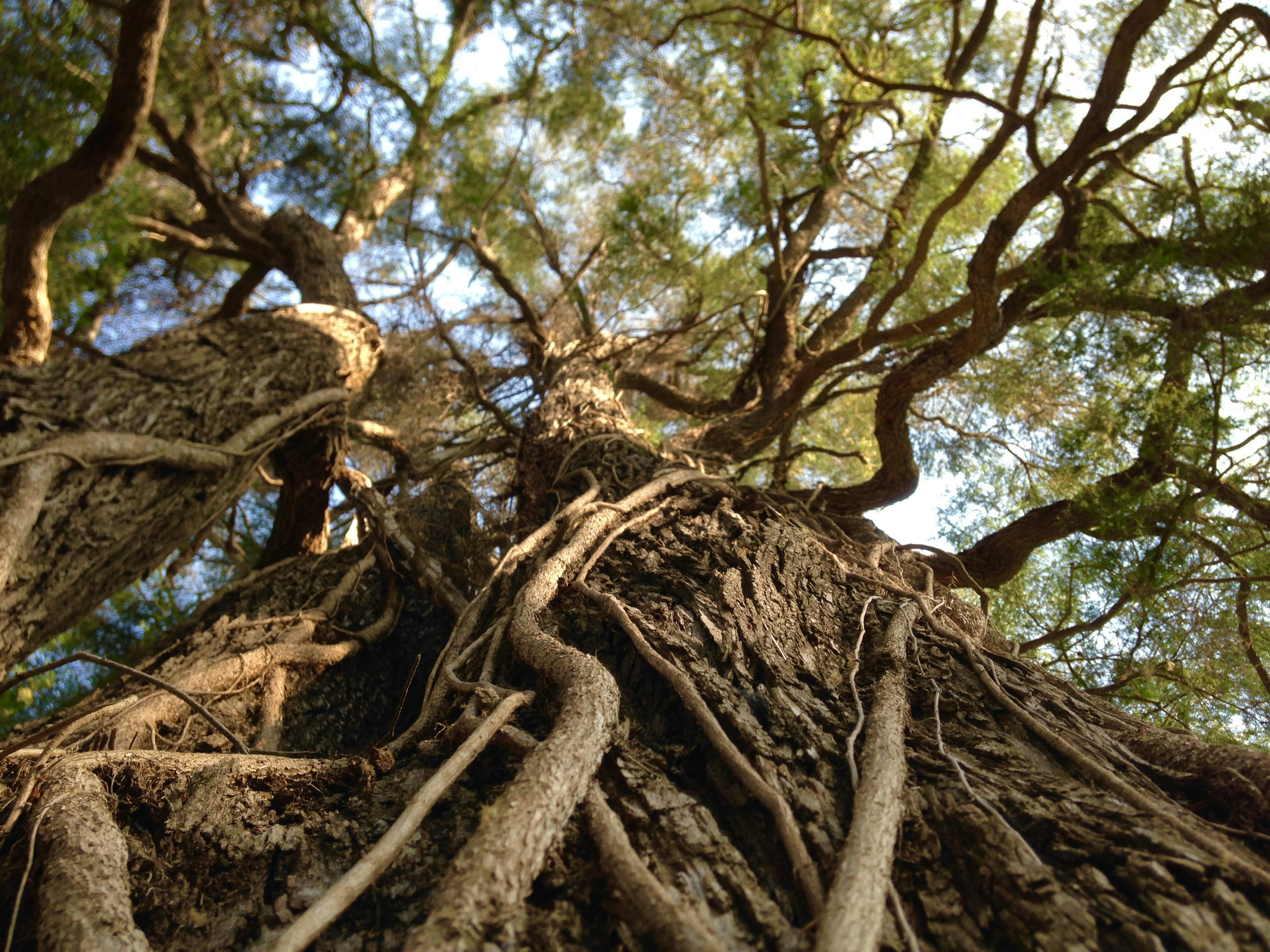 Photo by thatmasonguy