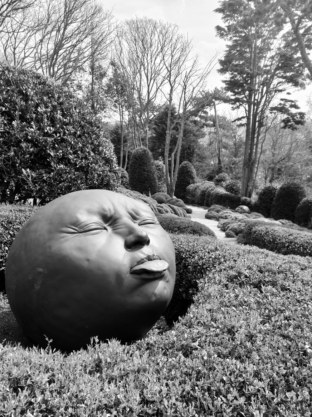 a black and white photo of a face in a hedge