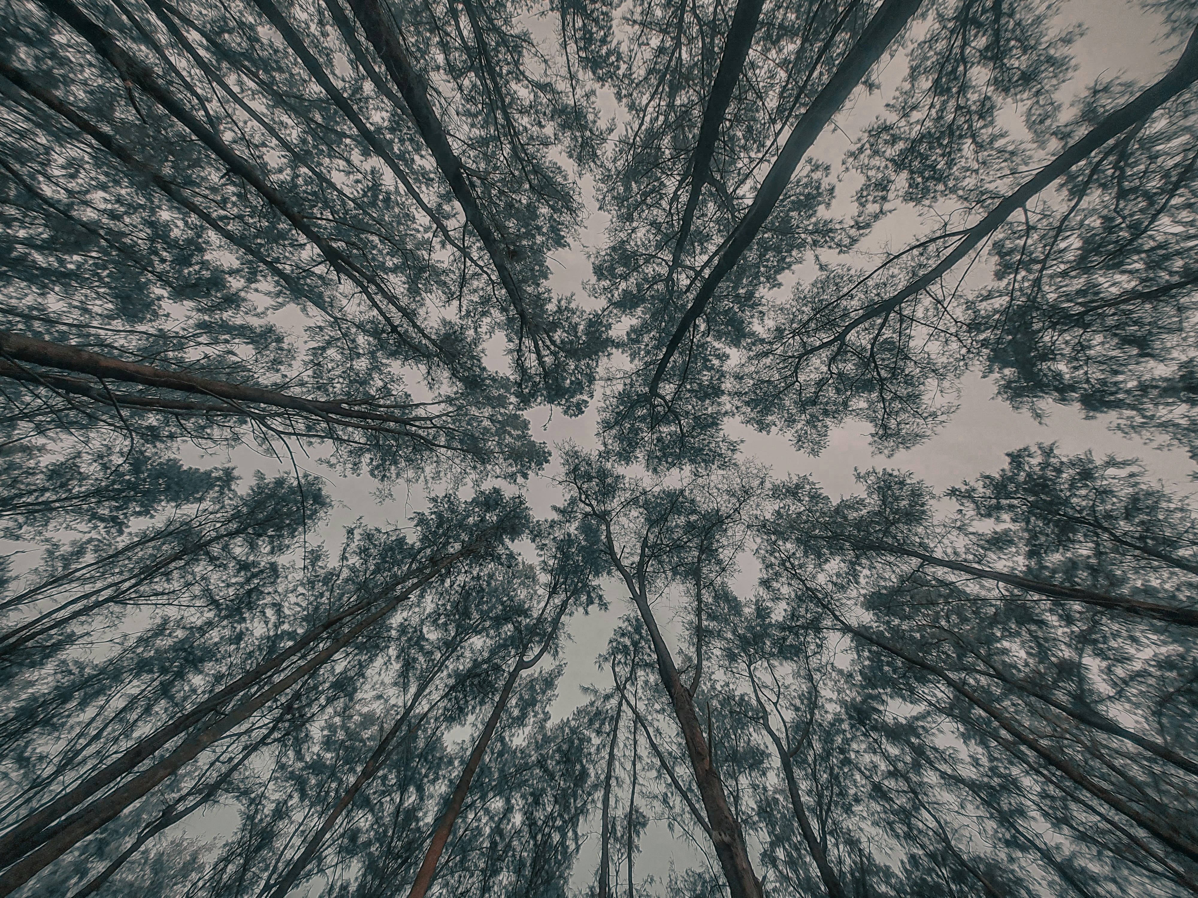 Photo by chiragsaliphotos