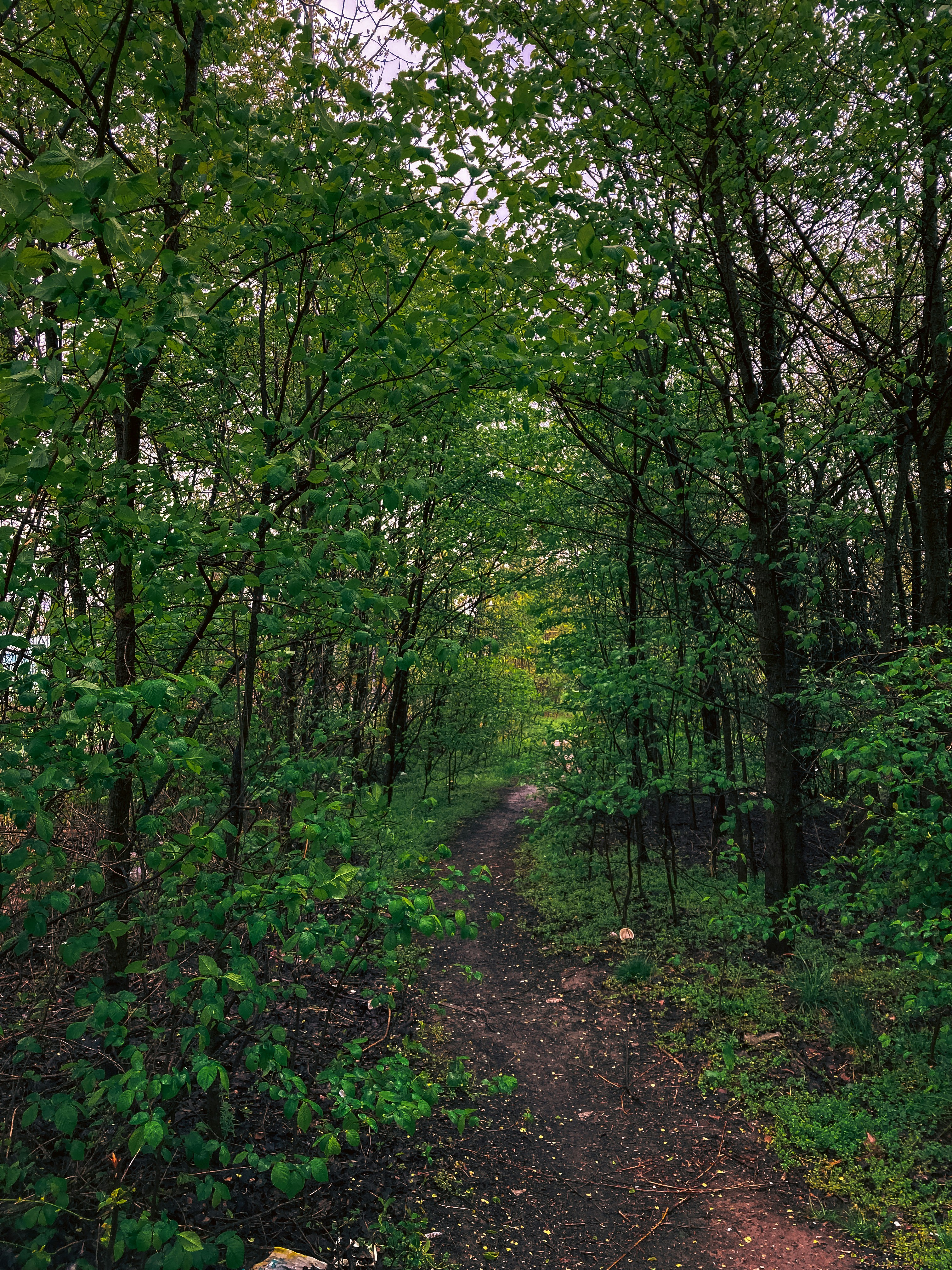 Photo by dariussx000