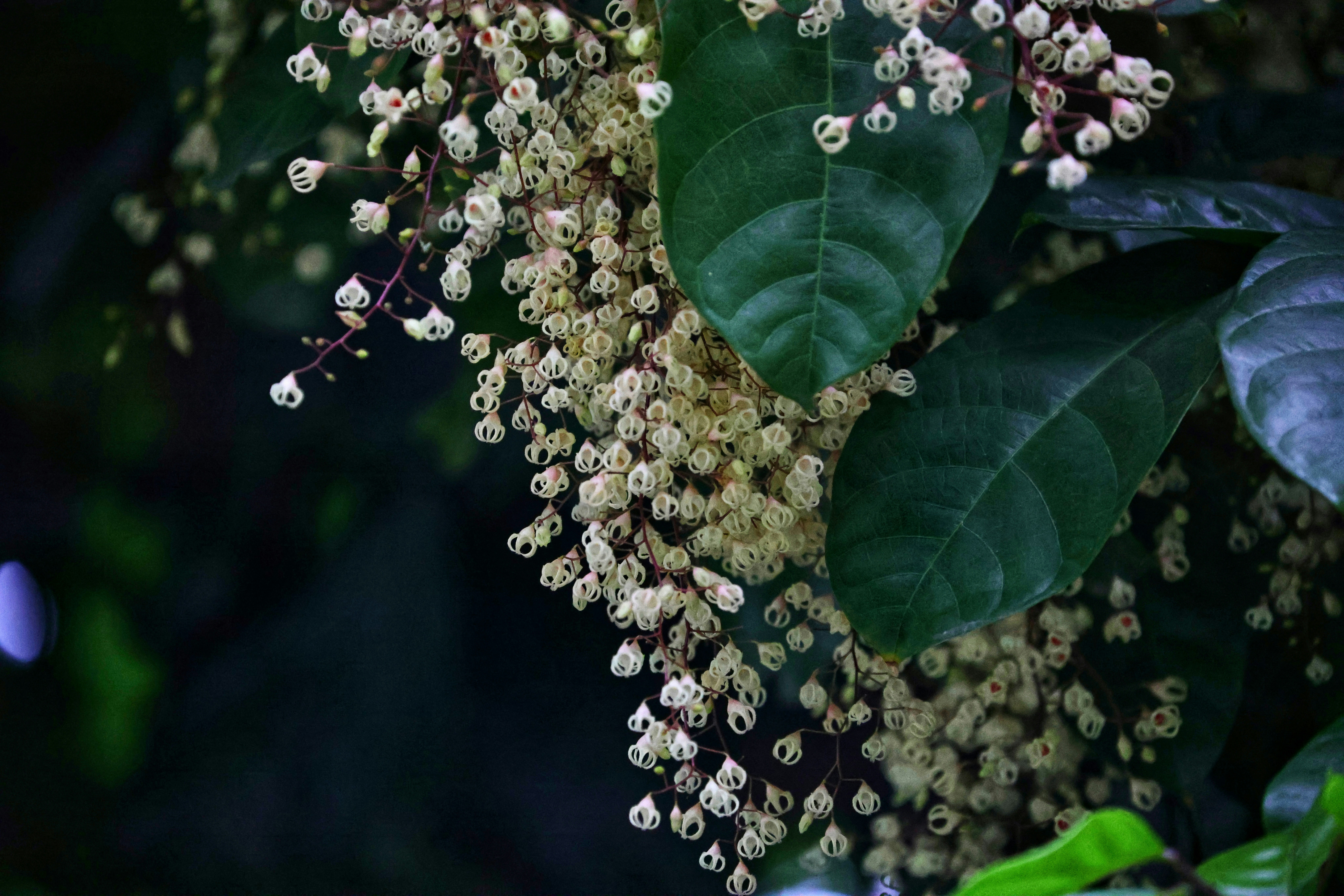 Photo by dickenslin76