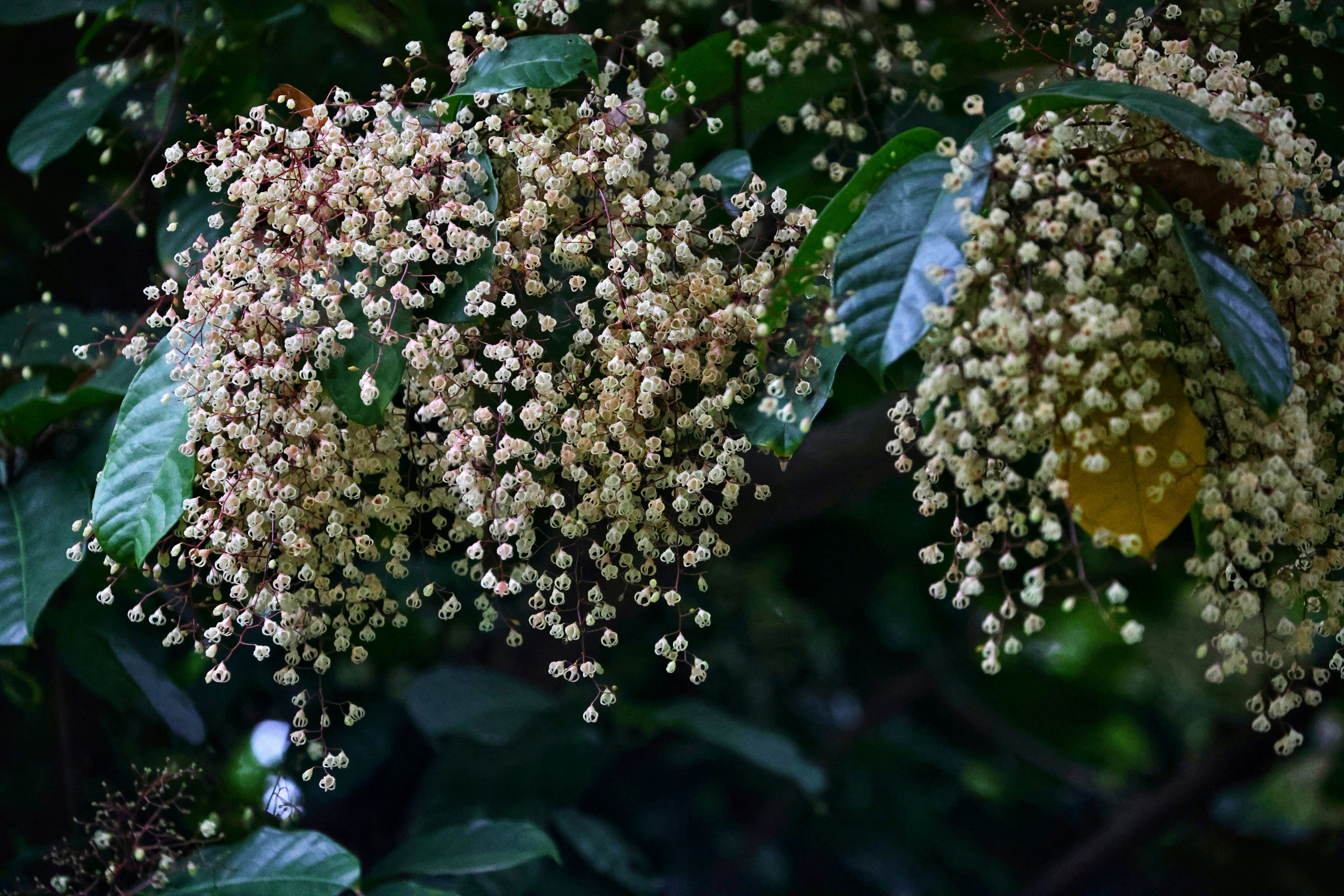 Photo by dickenslin76