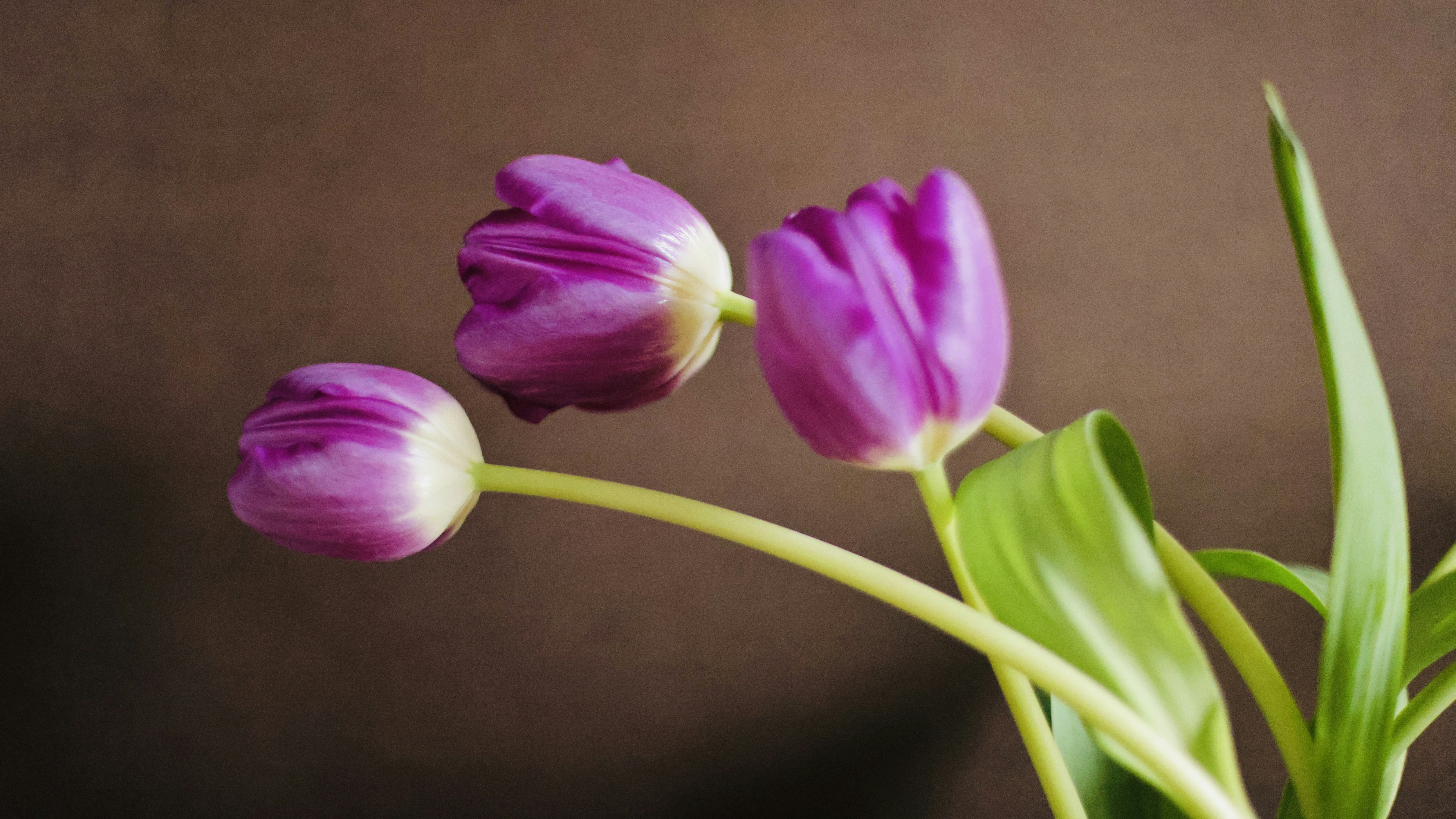 Photo by dickenslin76