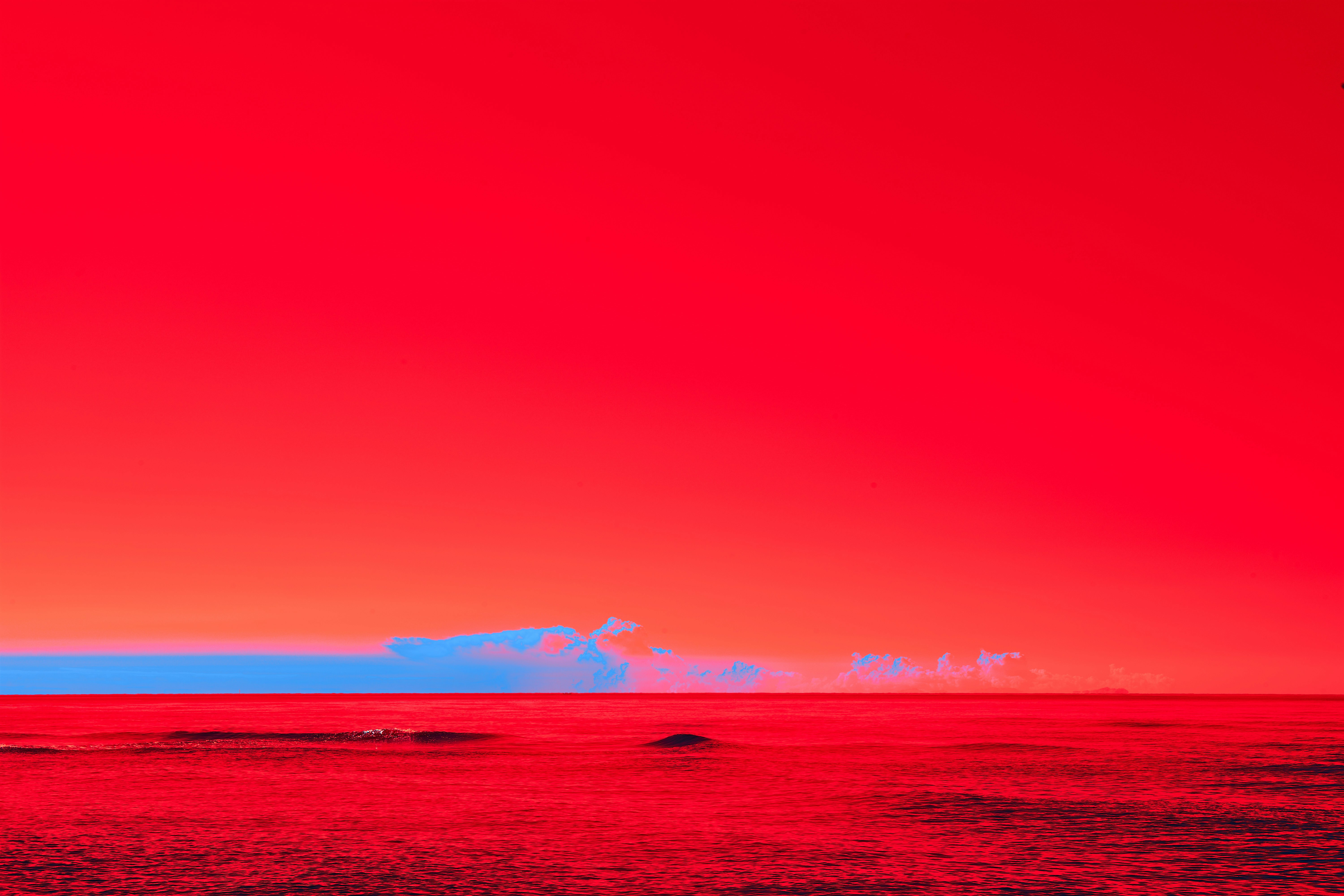 Photo by wolfgang_hasselmann