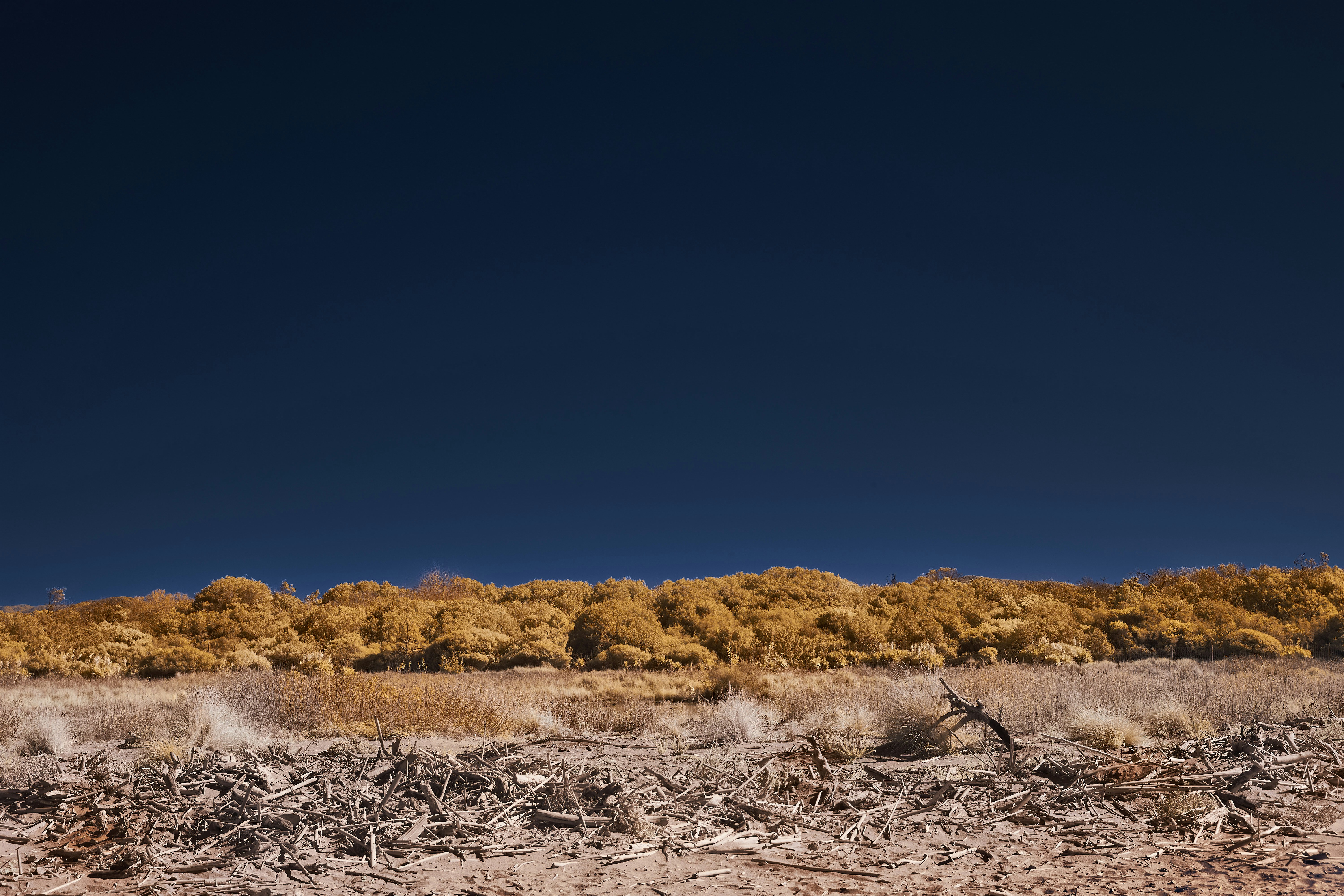 Photo by wolfgang_hasselmann