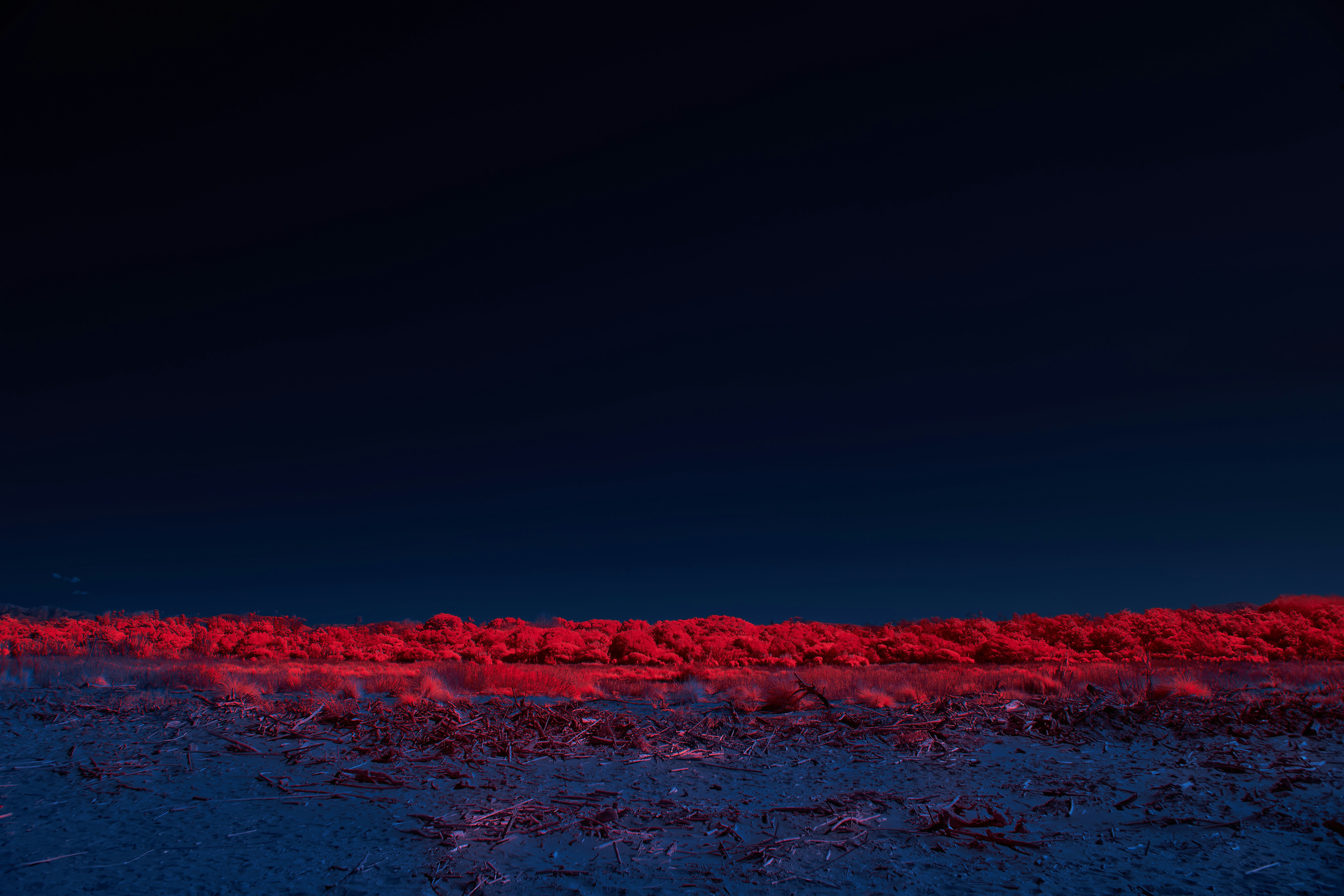 Photo by wolfgang_hasselmann