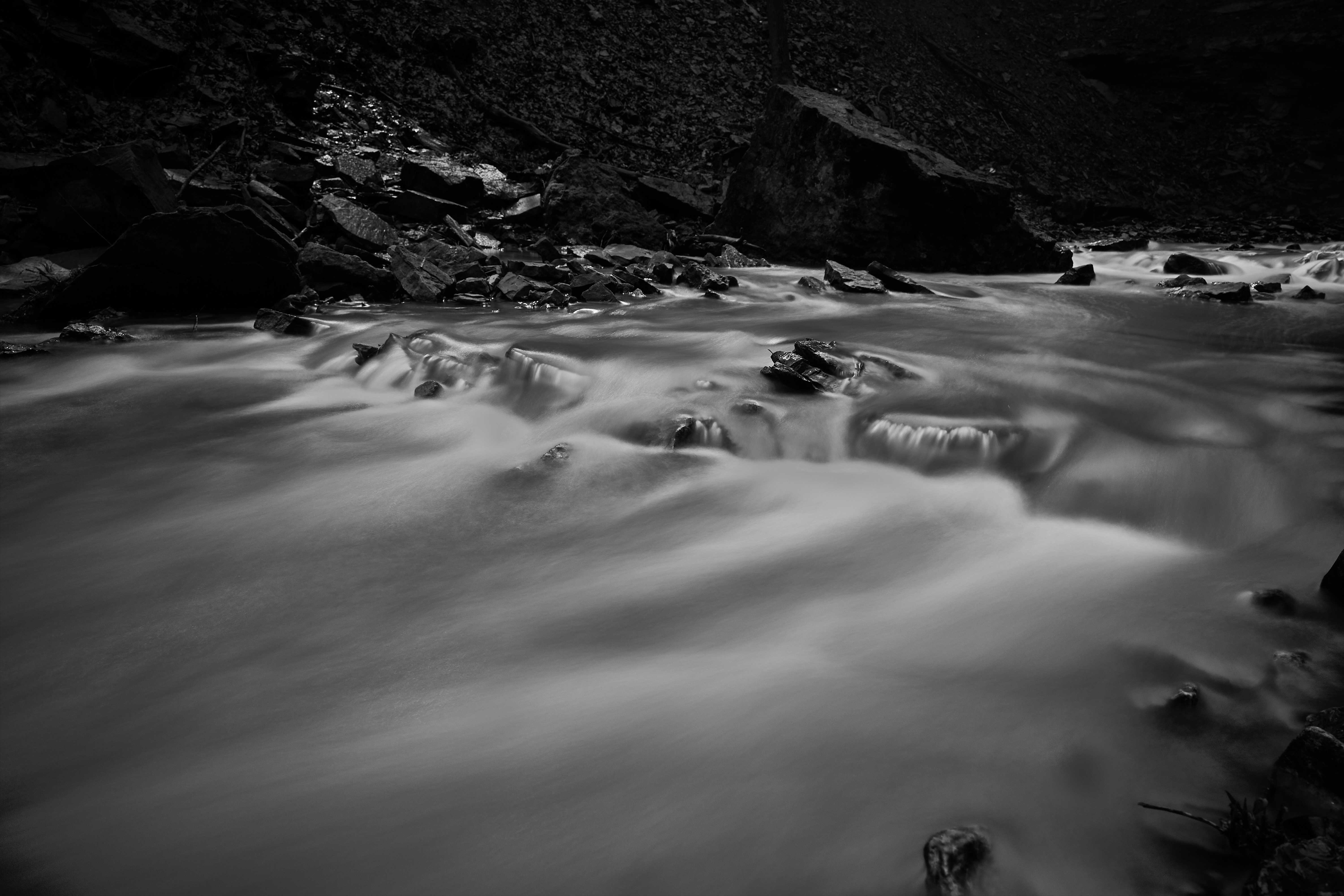 Photo by wolfgang_hasselmann