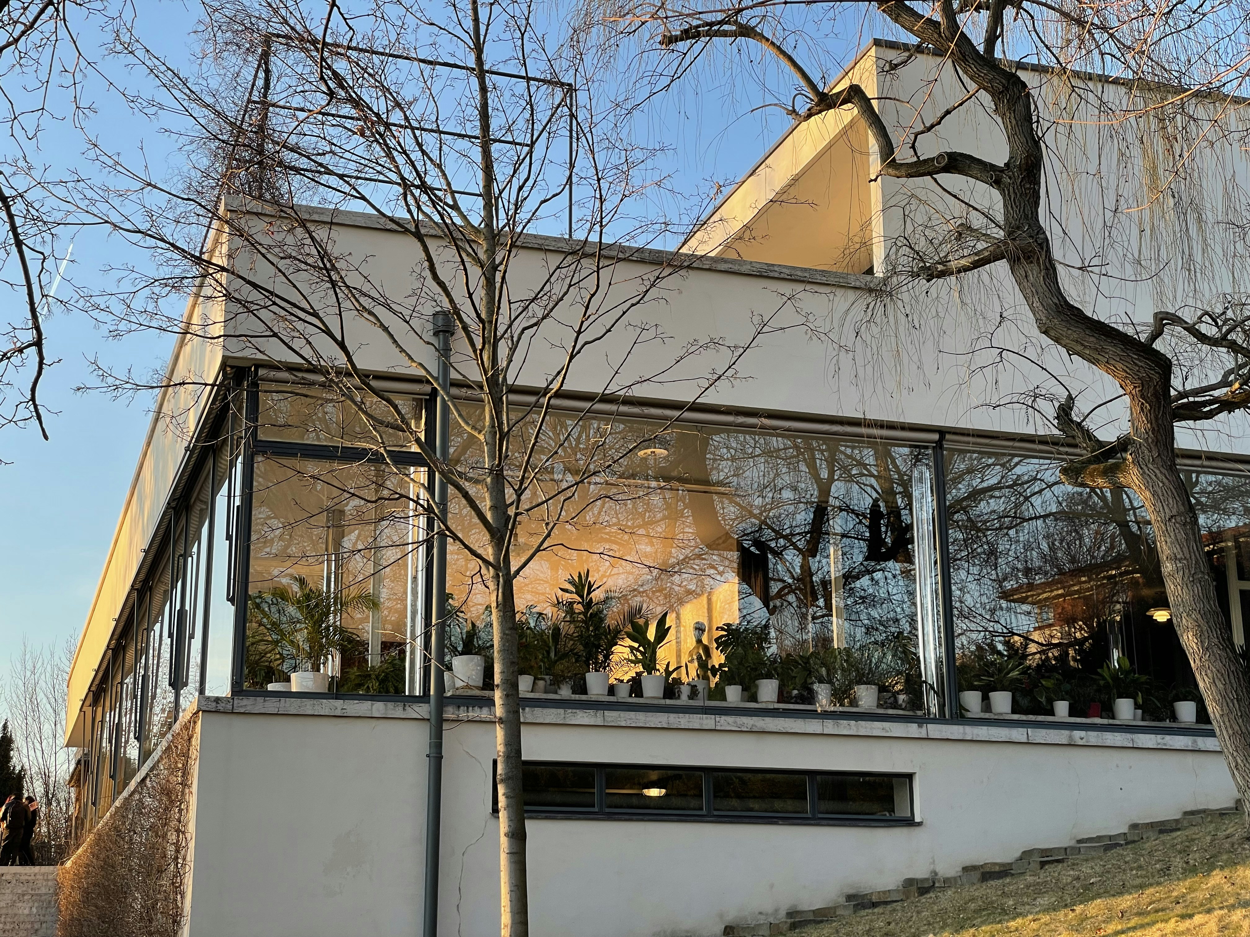 Villa Tugendhat photo 2