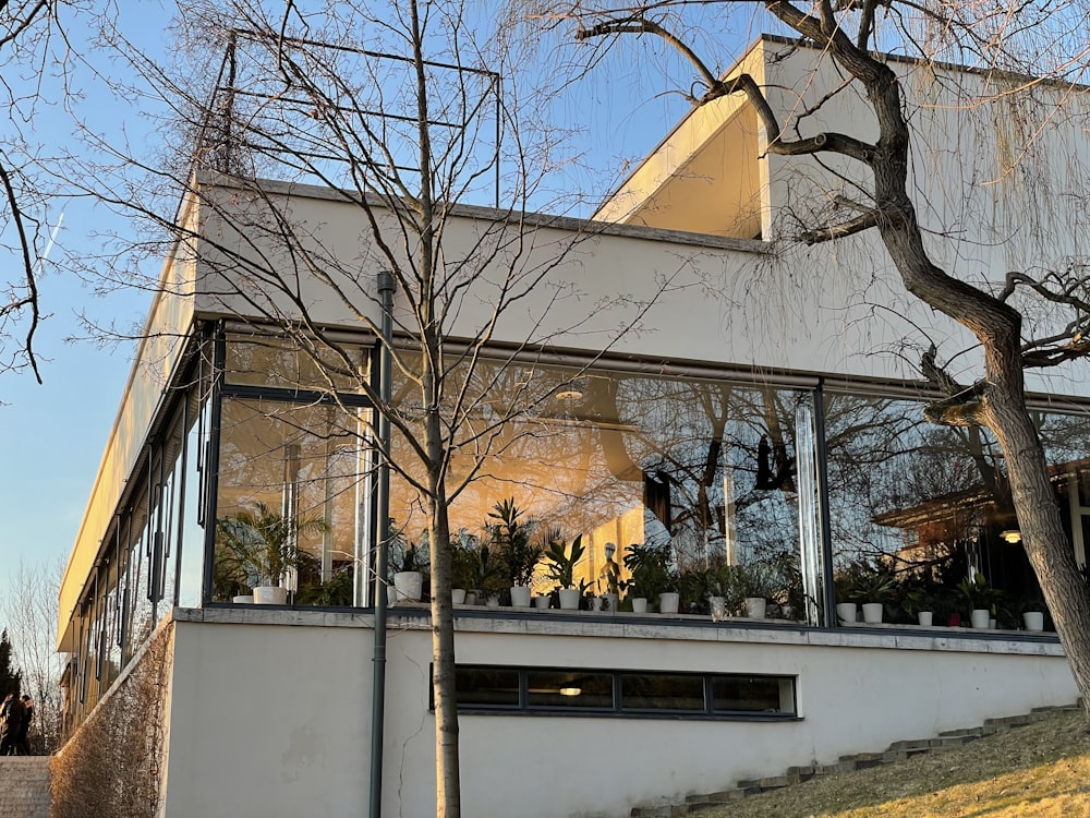 a house with a lot of plants in the windows