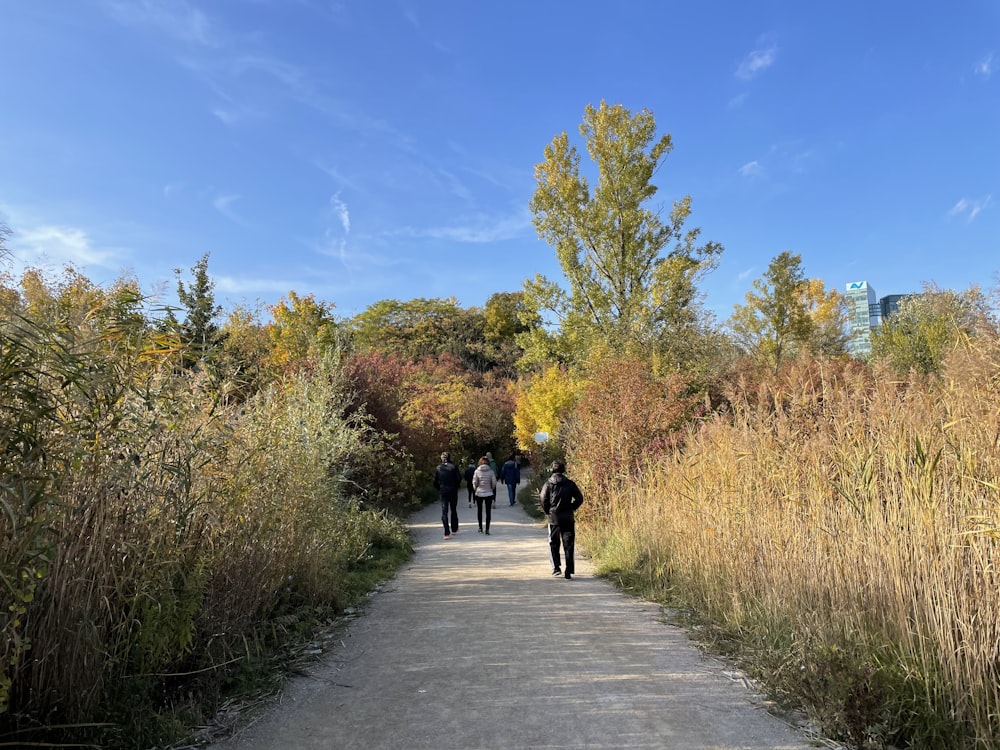 a group of people walking down a dirt road