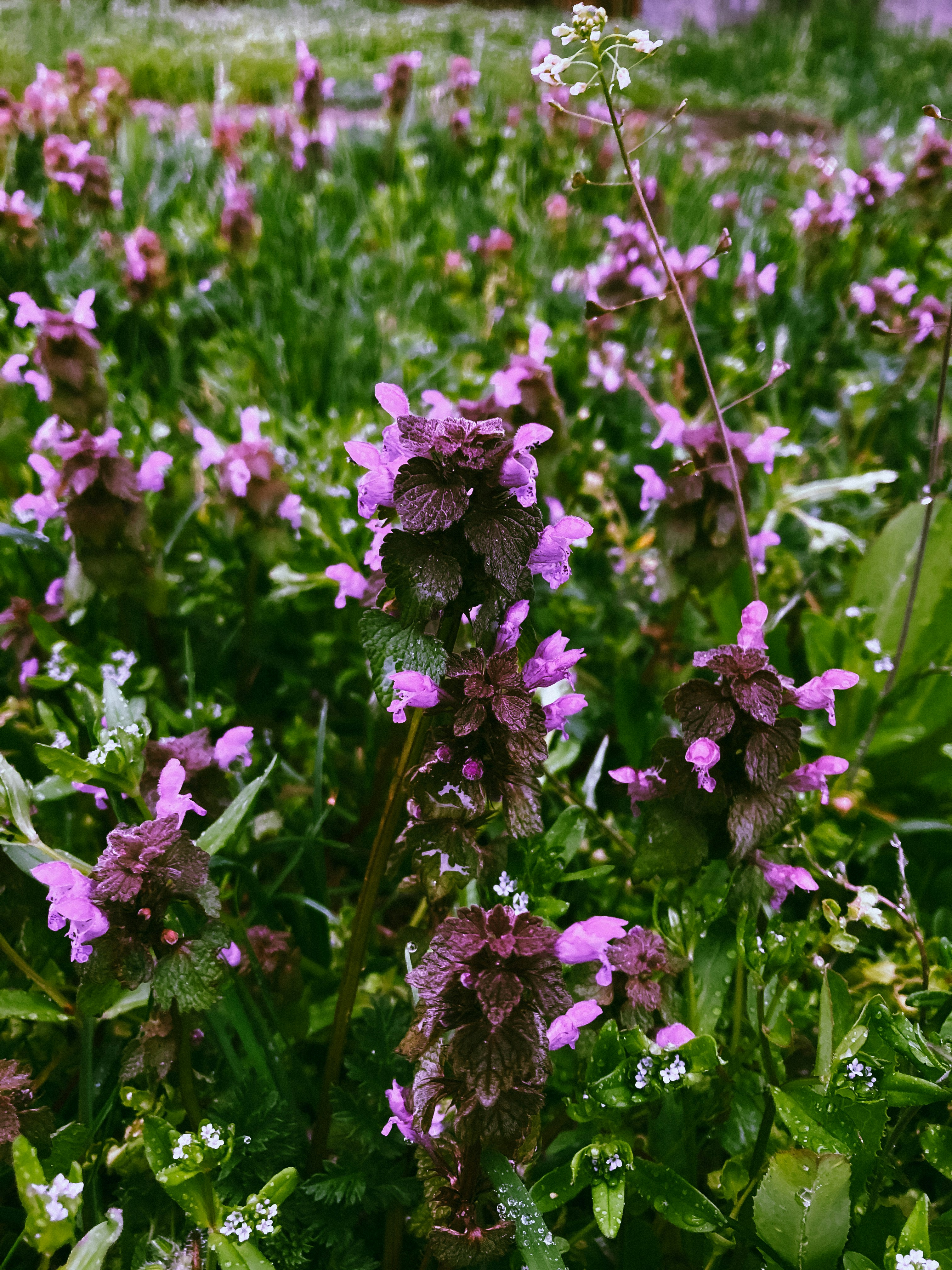 Photo by dariussx000