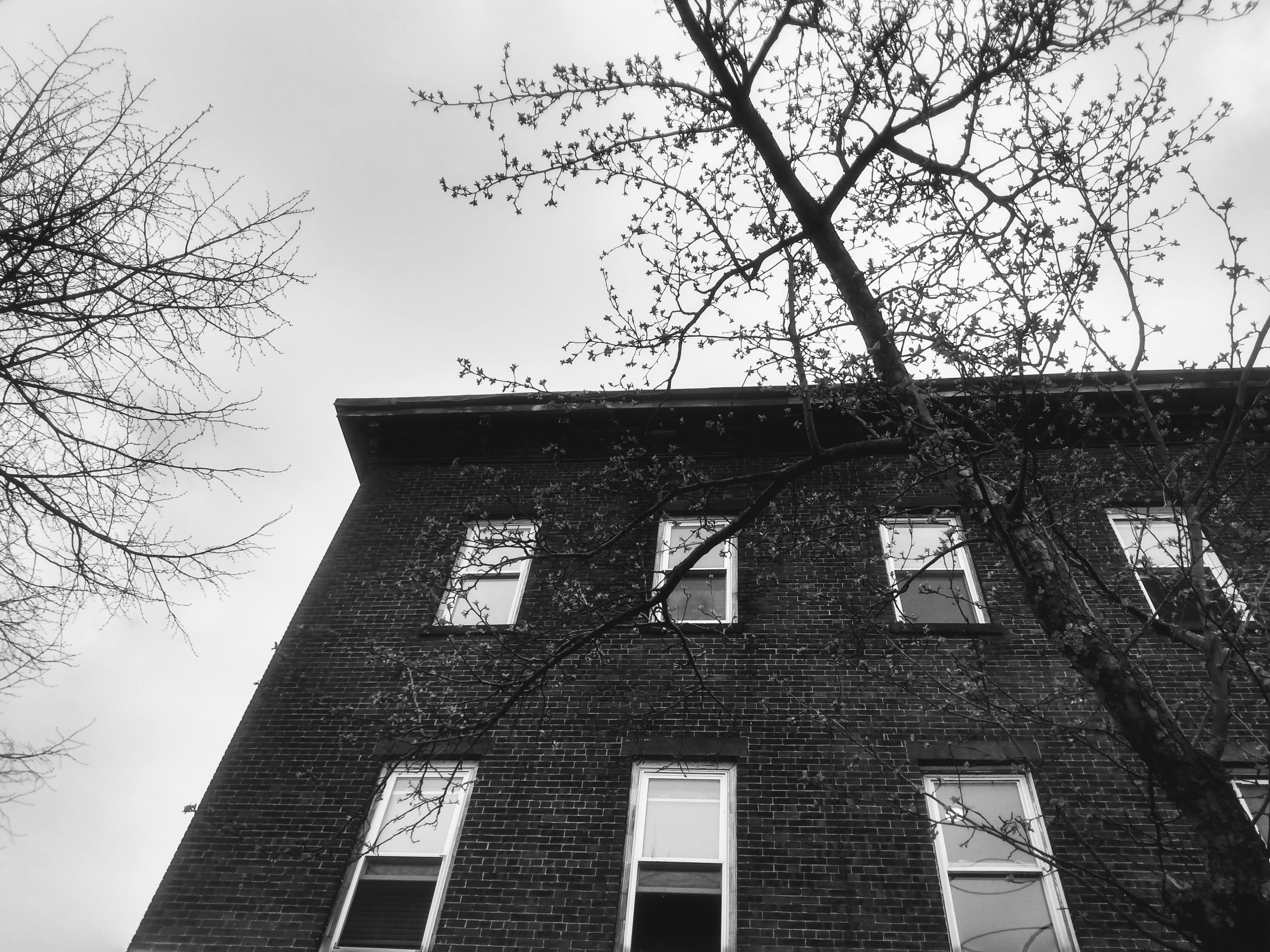 Photo by grimmie_and_ghostlie