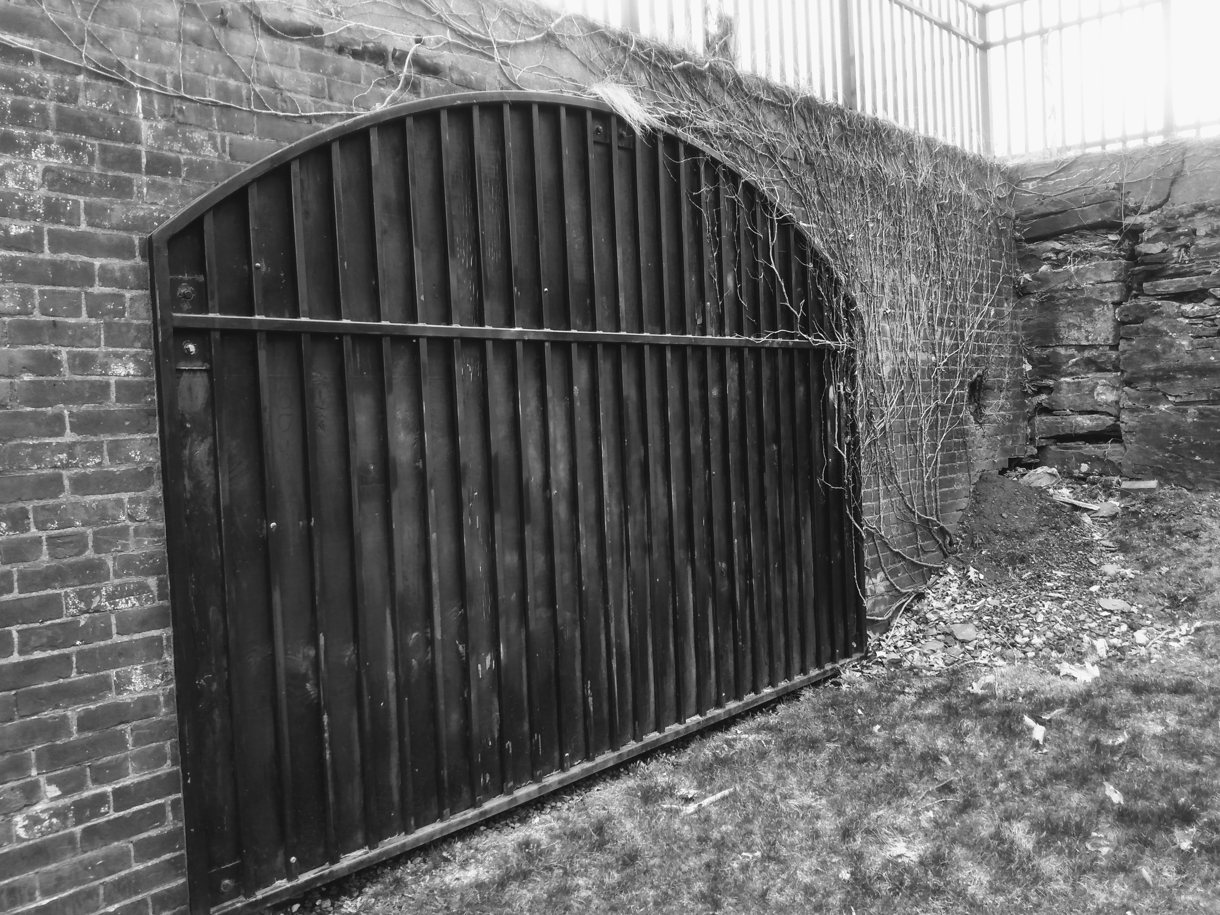 a black and white photo of an iron gate
