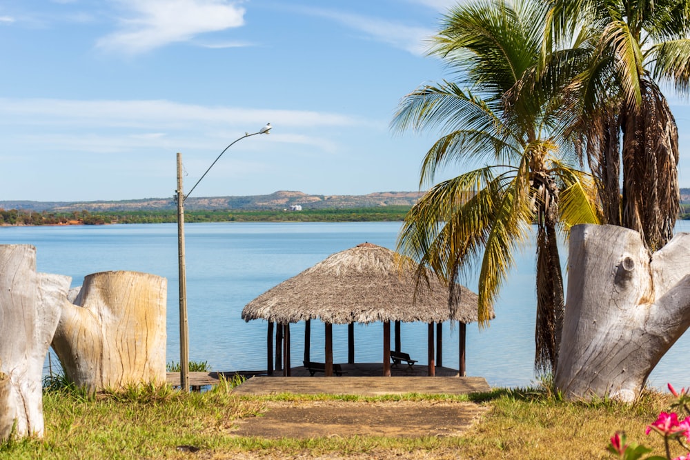 a gazebo with palm trees and a body of water in the background