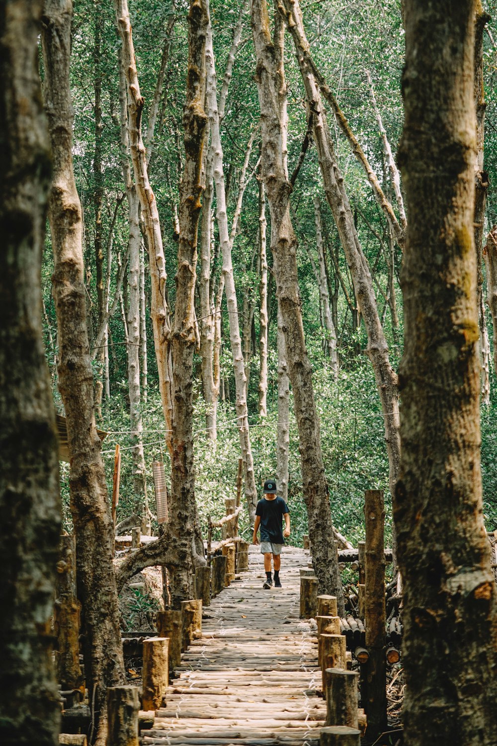 森の中の小道を歩いている人