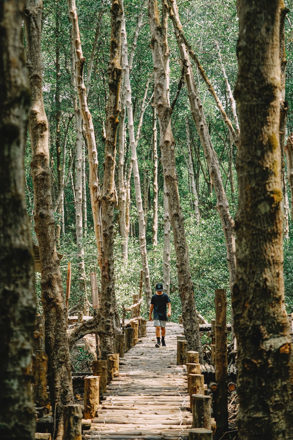 a person walking down a path in the woods