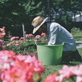 a man kneeling down in a field of flowers