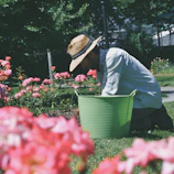 a man kneeling down in a field of flowers