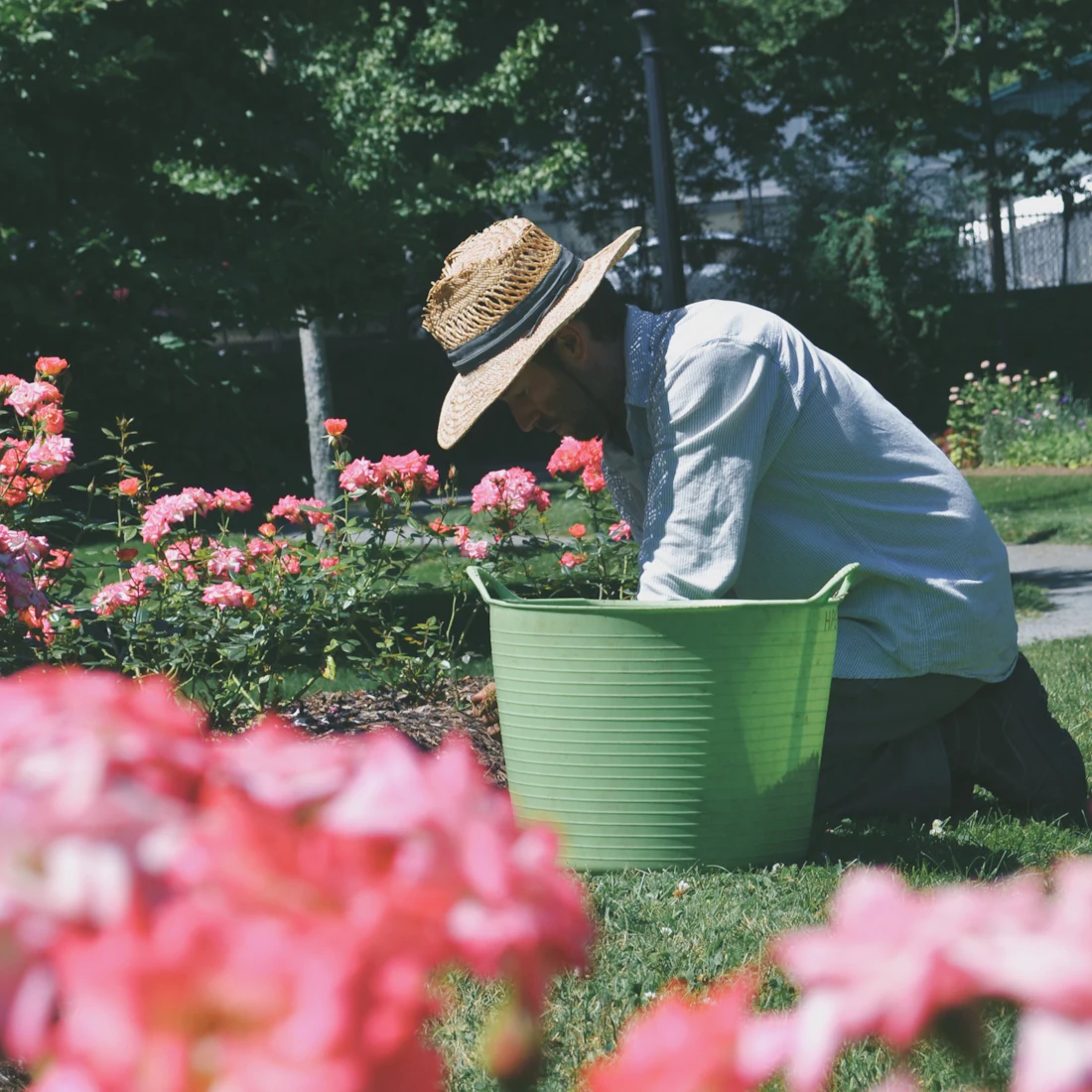 A MowPro gardener kneeling in a flower bed, pruning by hand