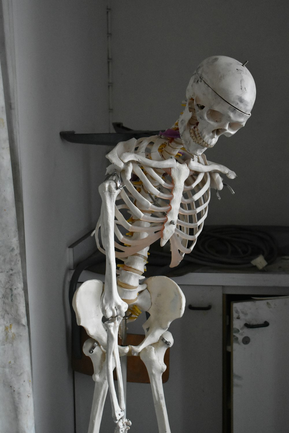 a skeleton sitting on a stool in a room