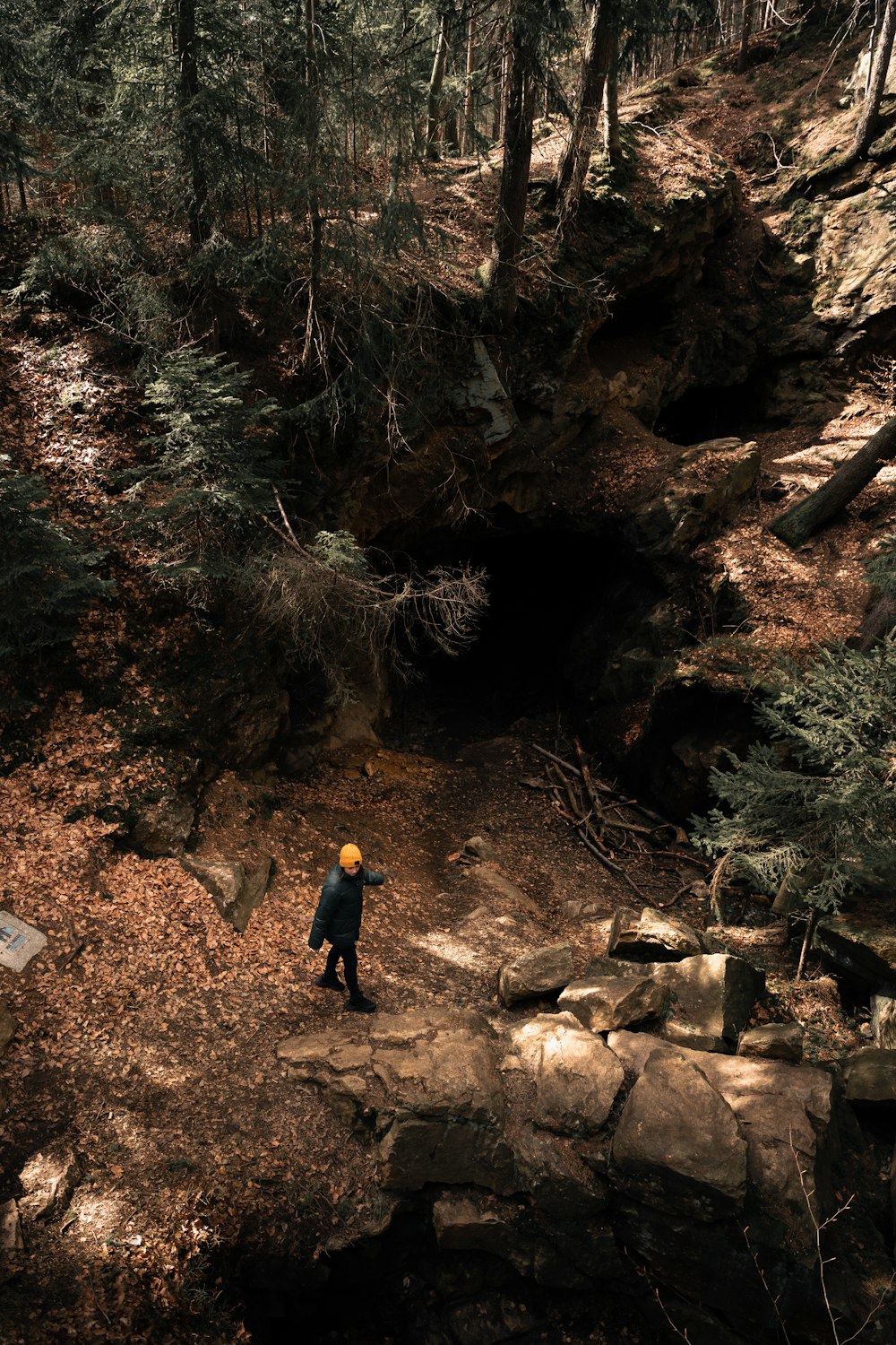 a person standing on a rocky path in the woods