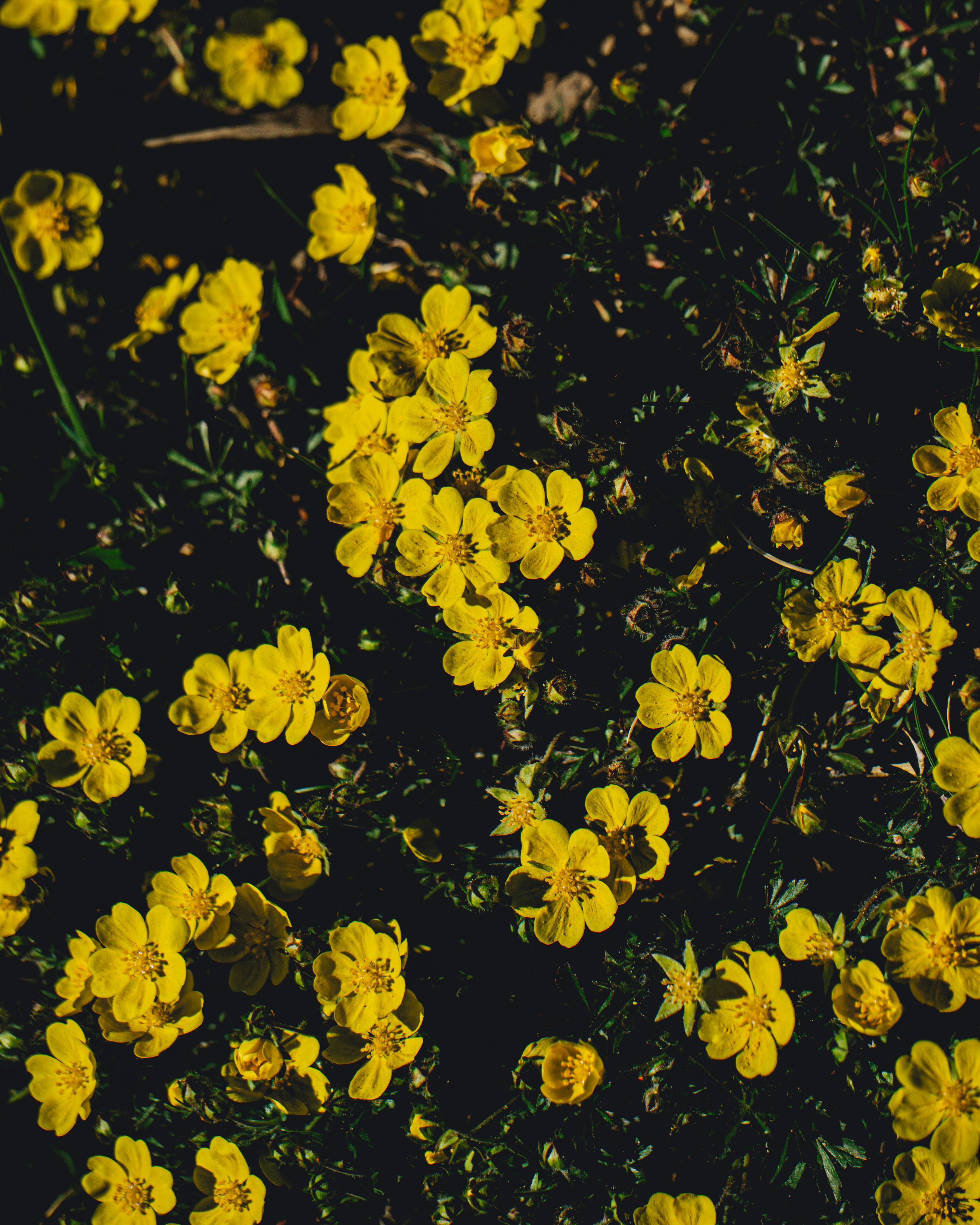 Photo by bruncolombo