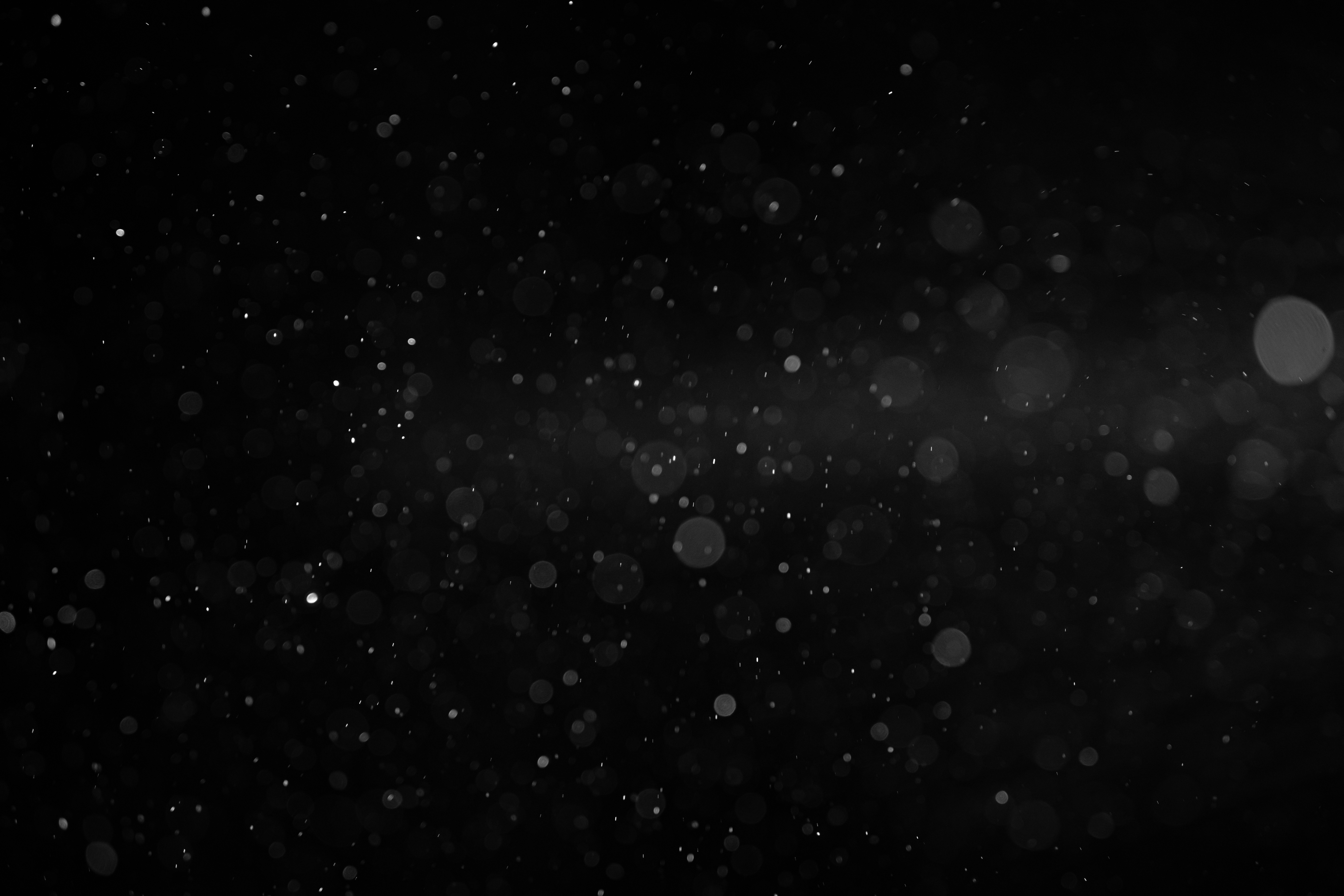 Photo by brotakesphotos