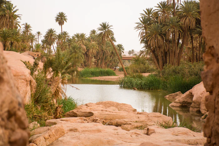 Taghit & the Grand Erg Occidental