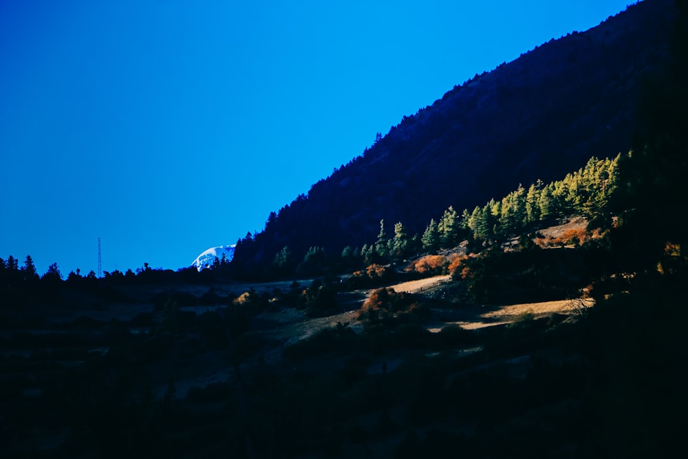 a mountain with trees on the side and a blue sky in the background