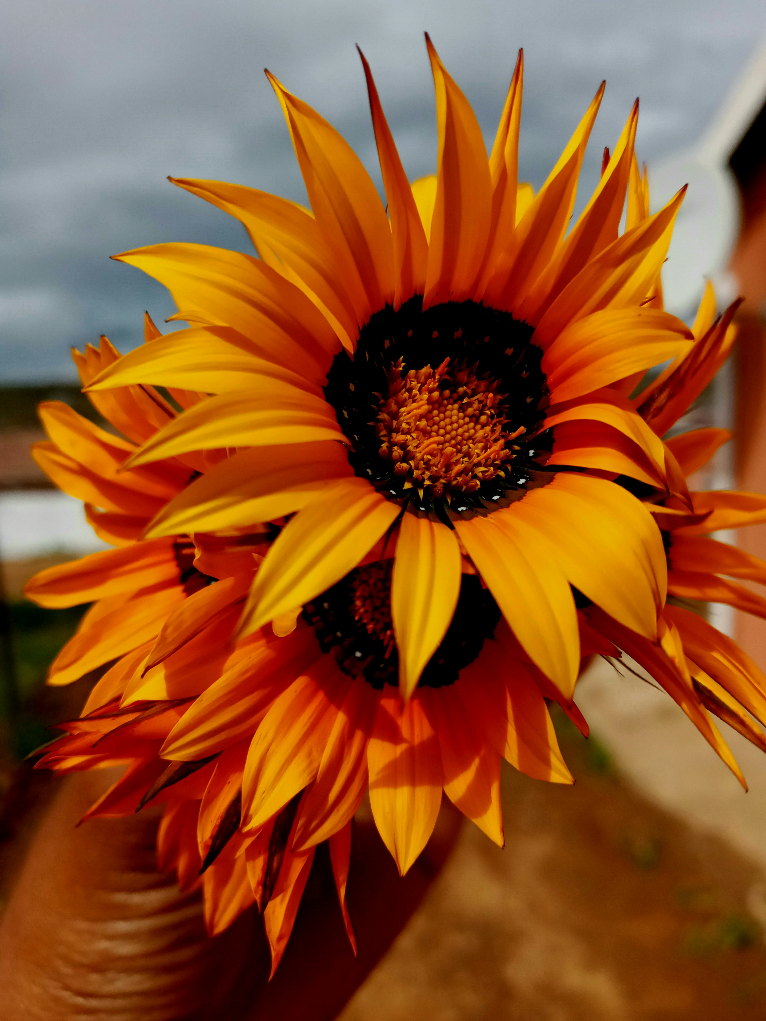 Photo by sethu_ntiyantiya