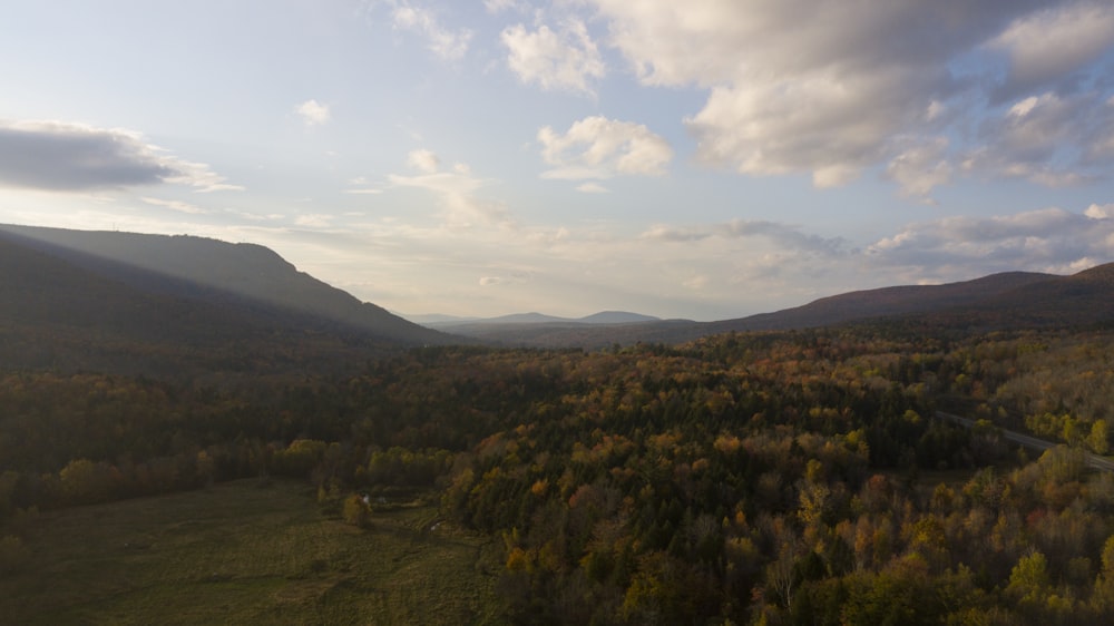 an aerial view of a forest with mountains in the background