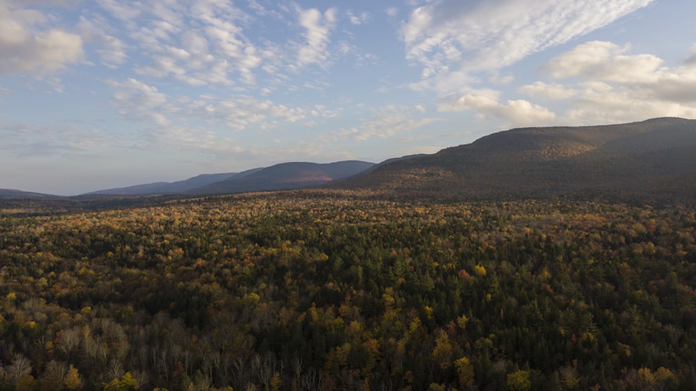 an aerial view of a forest with mountains in the background