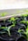 Several small green seedlings are emerging from black pots filled with soil, positioned on a windowsill with a soft, natural light illuminating them.