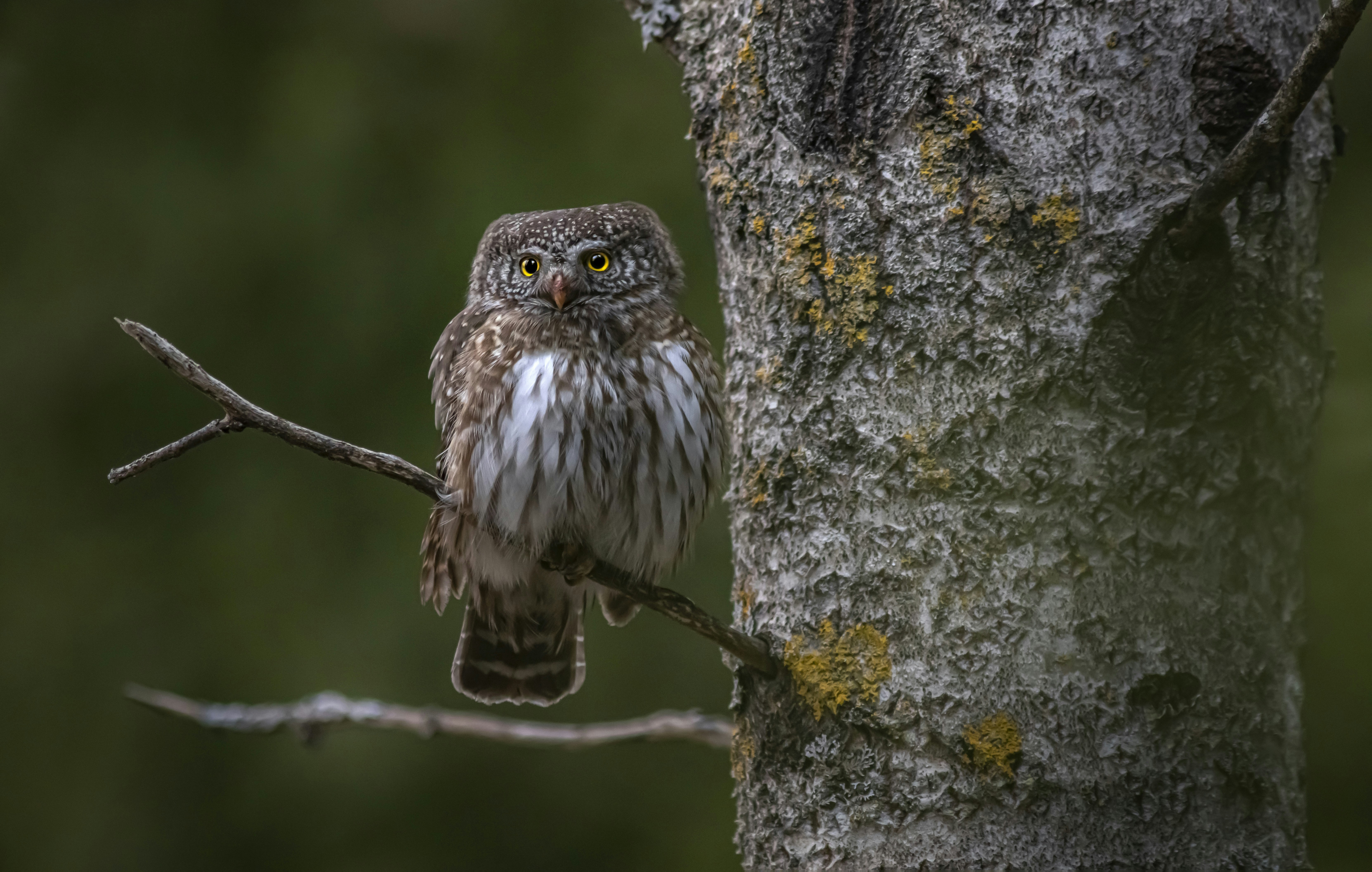 Photo by erik_karits