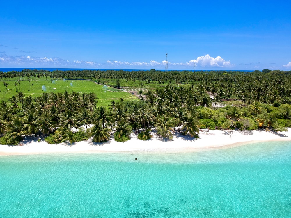 uma vista aérea de uma ilha tropical com palmeiras