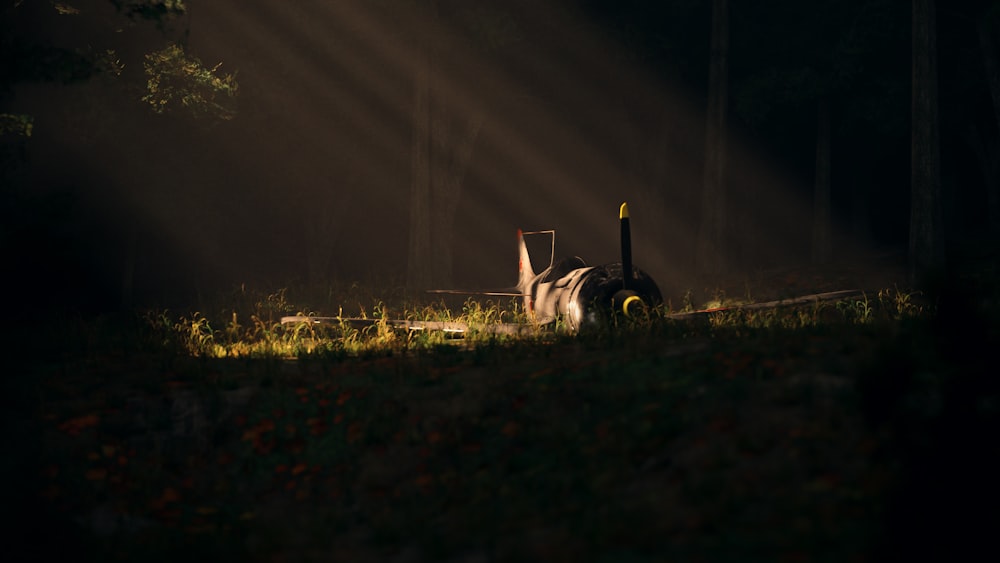 a tractor in a field with the sun shining through the trees