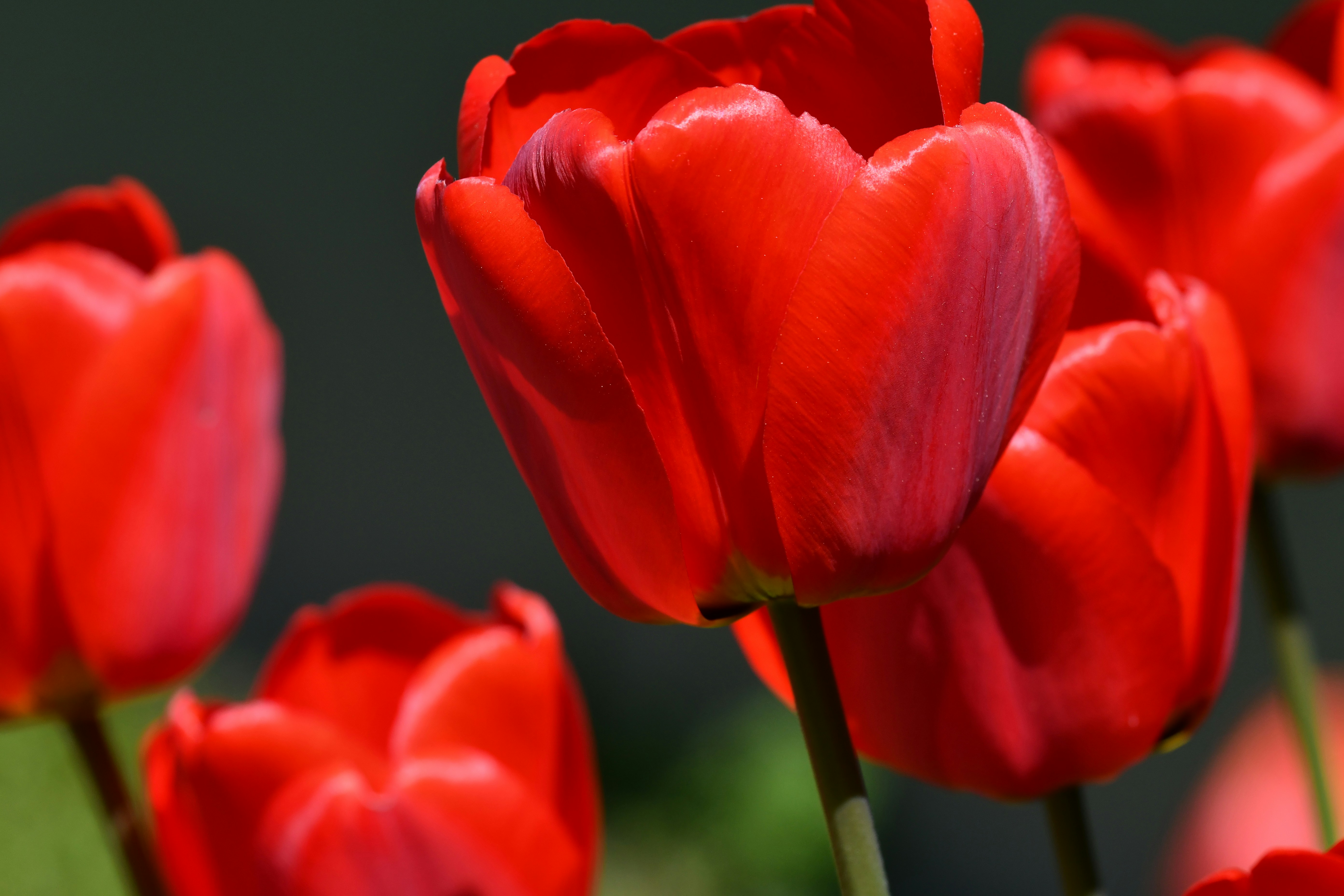 Photo by pedrino5_official