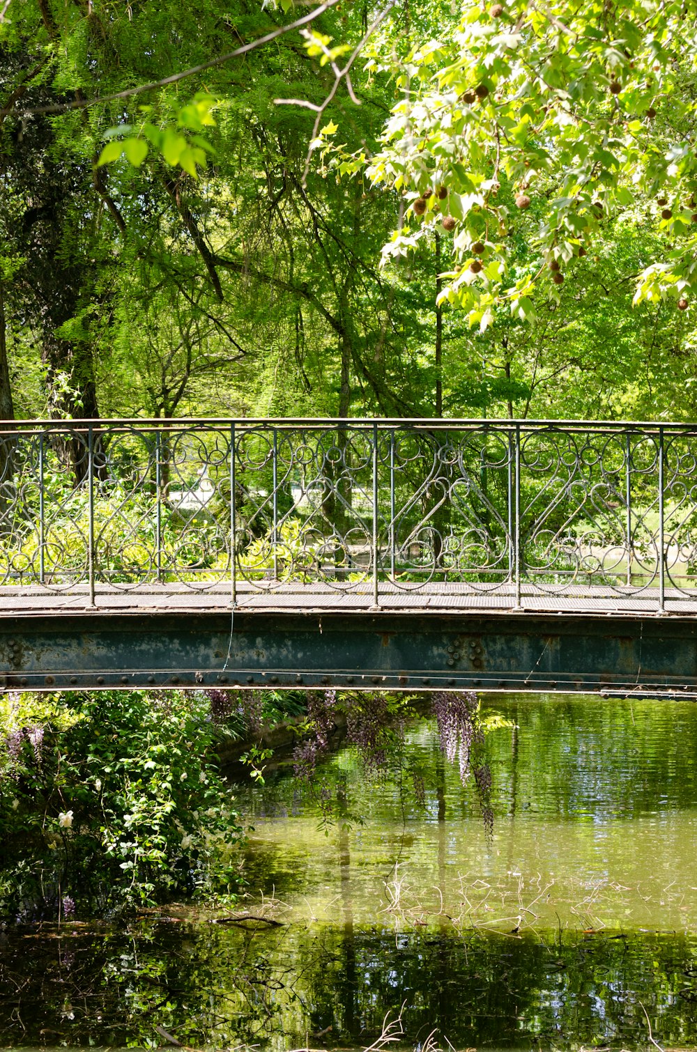 a bridge over a body of water surrounded by trees