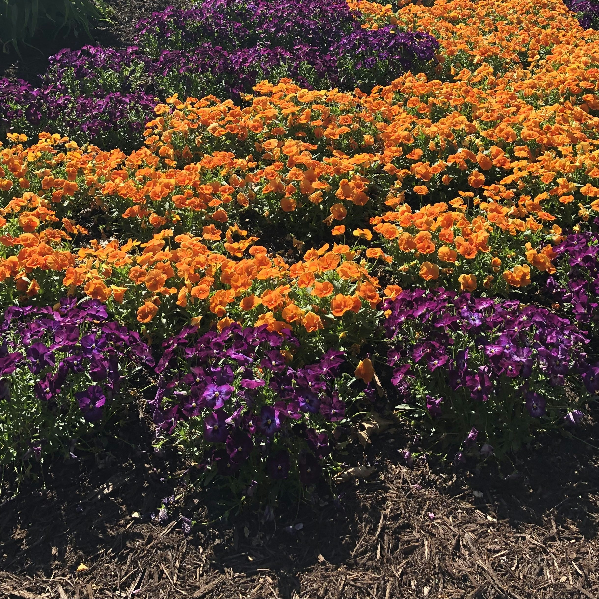 seasonal color palettes, wallpaper, Color Mixing Tips: Seasonal Palette Guide 6