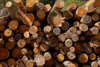 A large stack of cut tree logs is piled together, showing various sizes and shapes of the cross-sections. The logs are arranged horizontally, revealing the circular patterns of the rings. The colors range from light brown to dark brown, and the surface of the logs is textured with a natural, rough appearance. The background shows some greenery, possibly indicating a forested area.